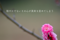 人は見たいようにこの世界を見る。