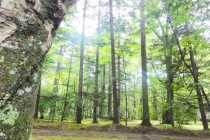 魂で生きる