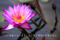 願いがなかなか叶わないときに見直すこと♡