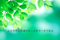 1日に6万回の思考をする私たち。