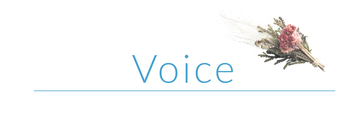 Voiceお客様の声